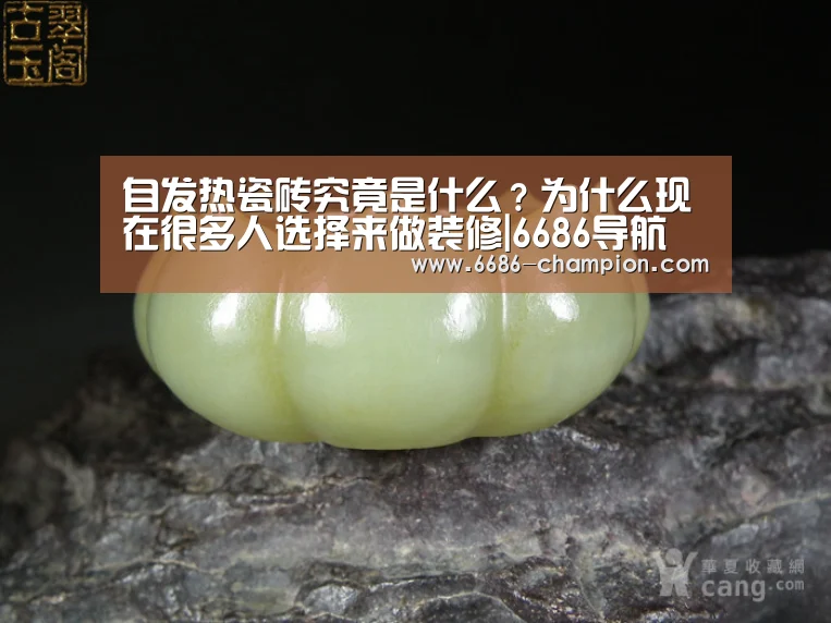 6686官网