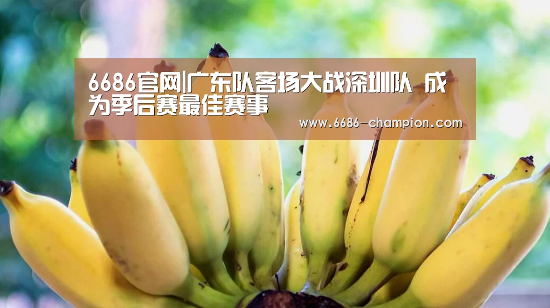 6686官网|广东队客场大战深圳队 成为季后赛最佳赛事(图4) 6686赛程