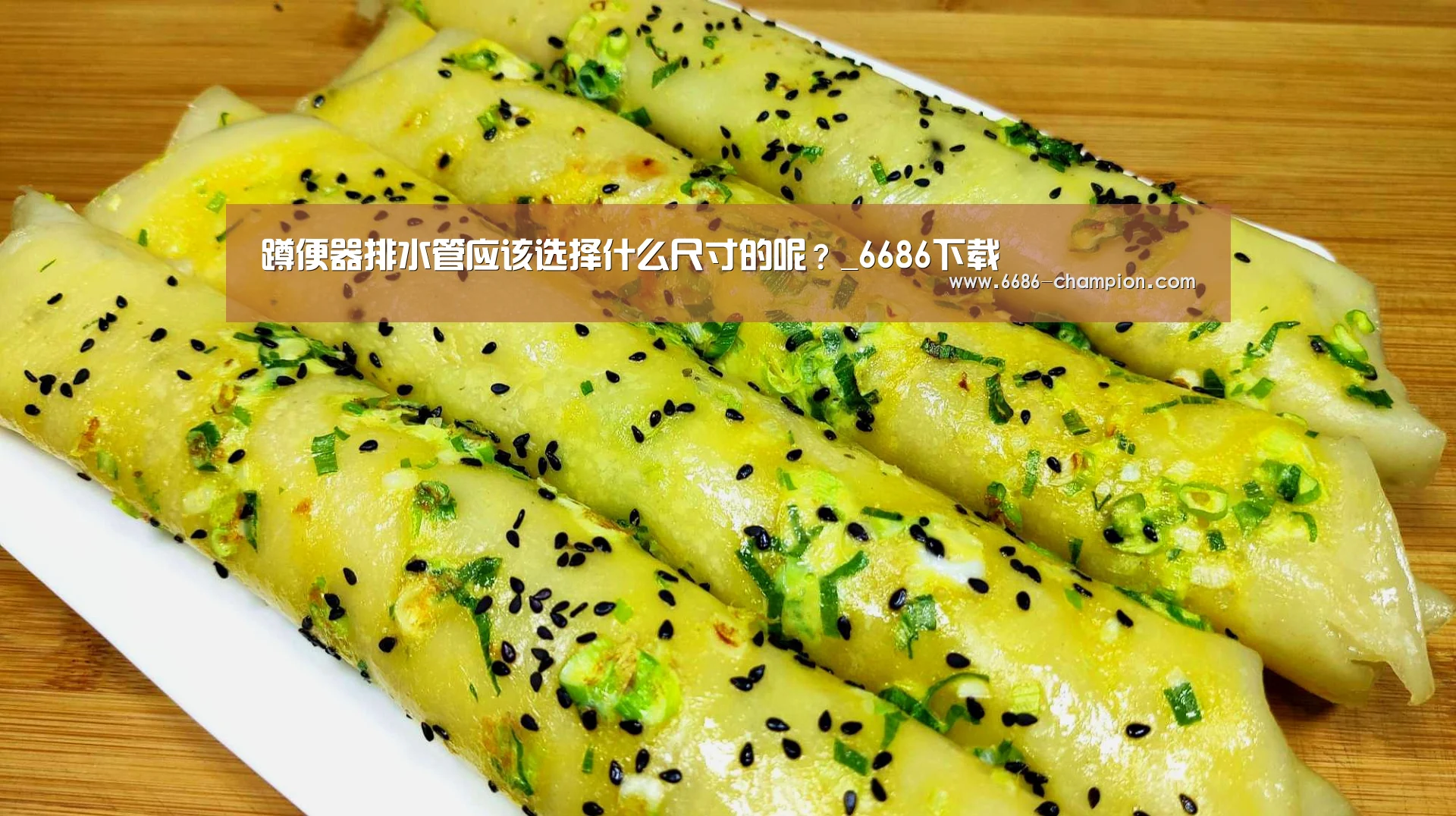 蹲便器排水管应该选择什么尺寸的呢?_6686下载(图2) 6686导航