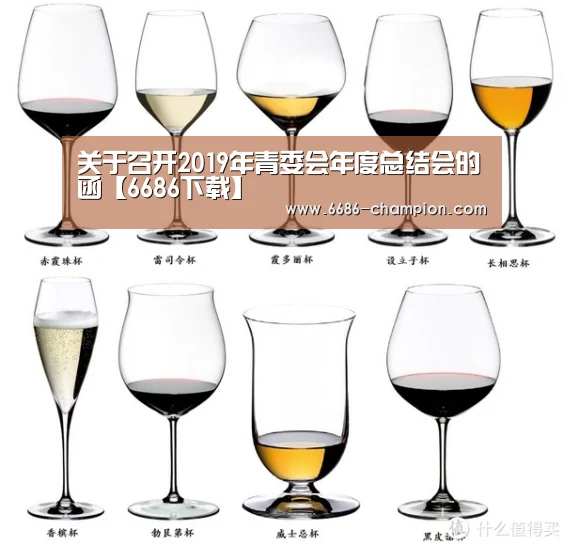 关于召开2019年青委会年度总结会的函【6686下载】(图2) 6686赛程