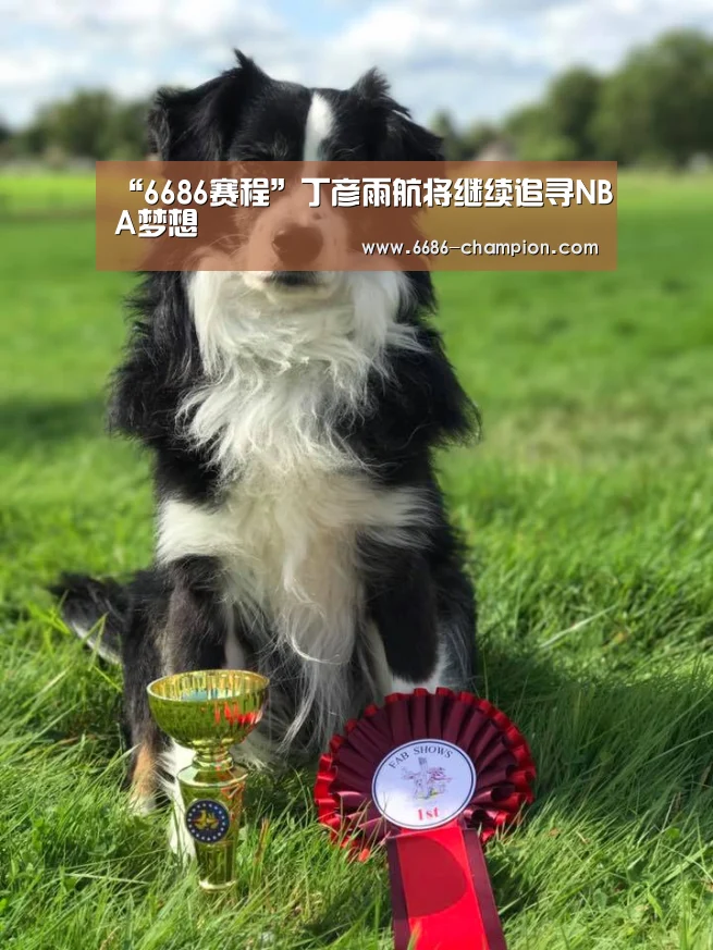 6686官网
