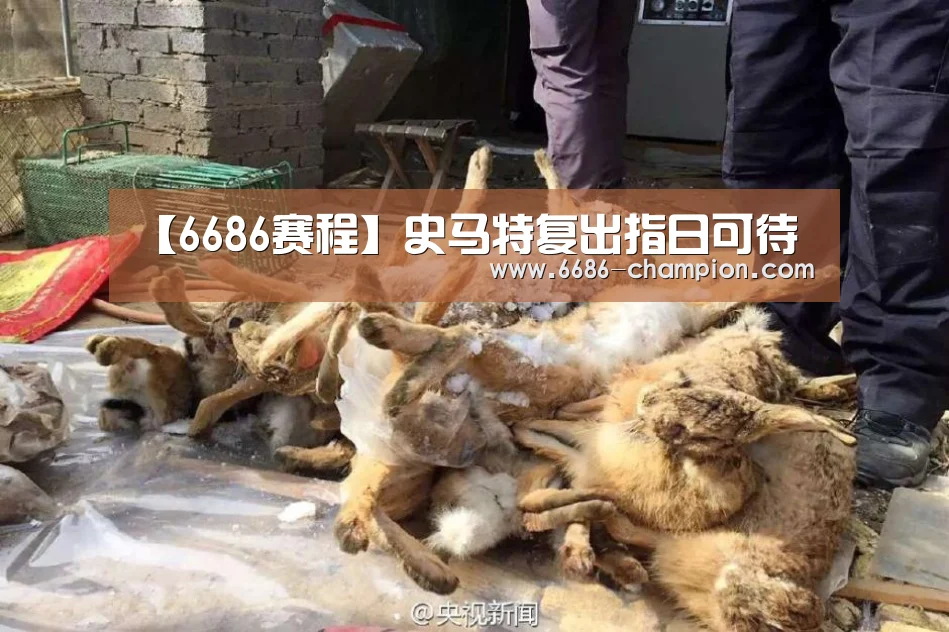 【6686赛程】史马特复出指日可待(图4) 6686官网