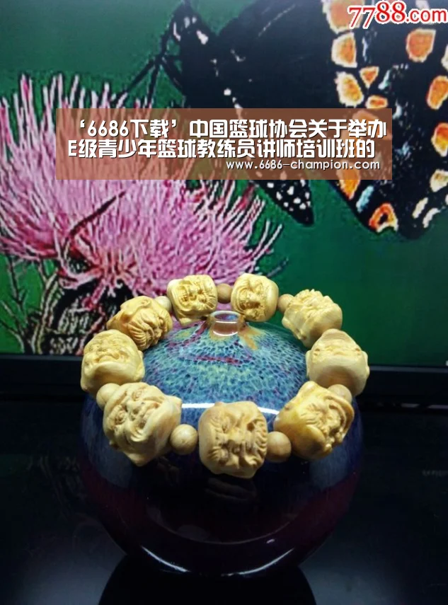 ‘6686下载’中国篮球协会关于举办E级青少年篮球教练员讲师培训班的函(图2) 6686下载