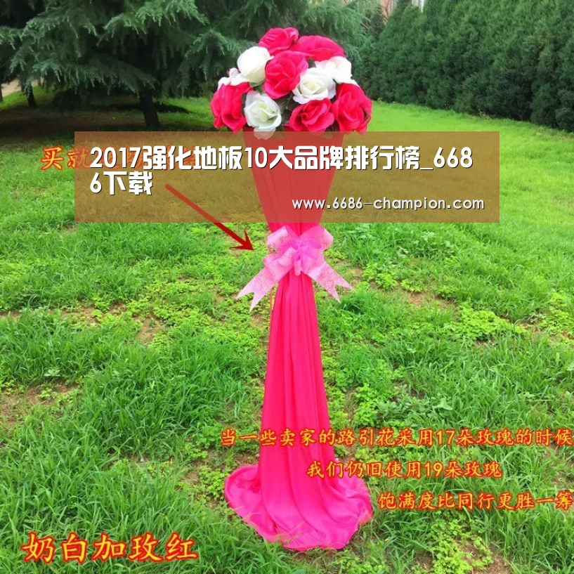 2017强化地板10大品牌排行榜_6686下载(图2) 6686导航