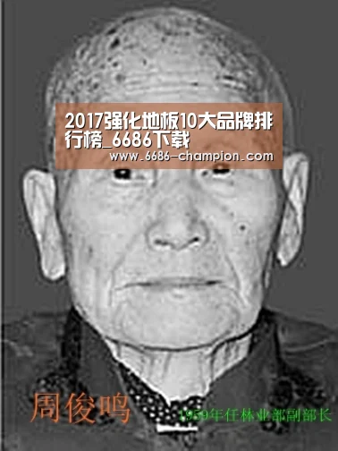 2017强化地板10大品牌排行榜_6686下载(图1) 6686导航