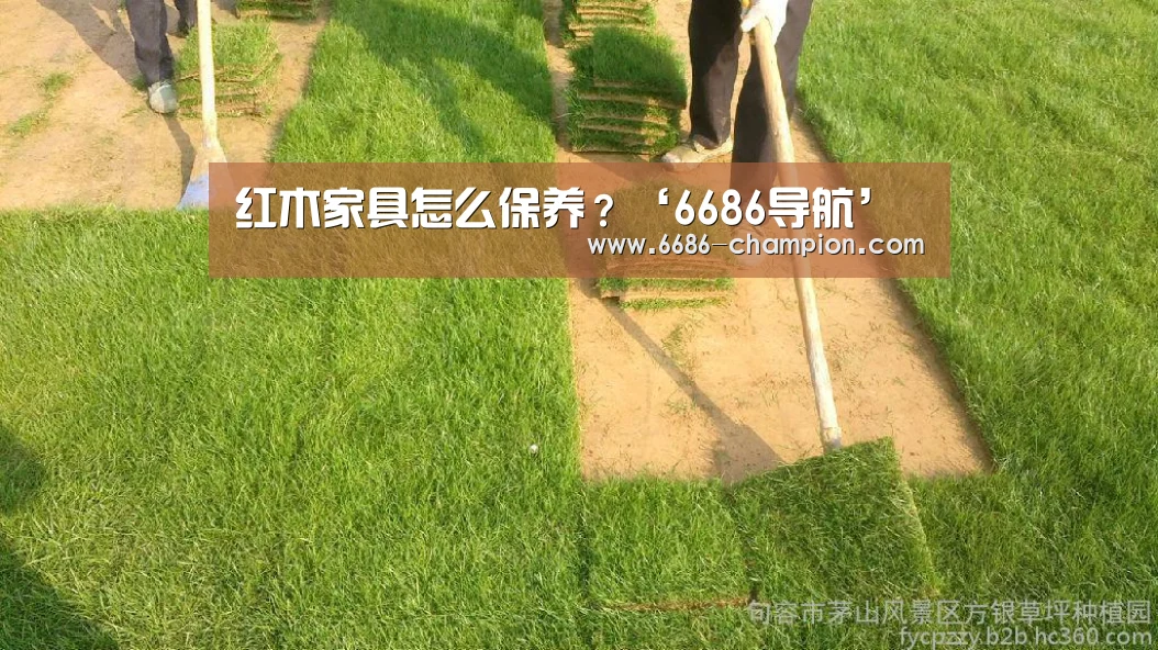 红木家具怎么保养?‘6686导航’(图2) 6686官网