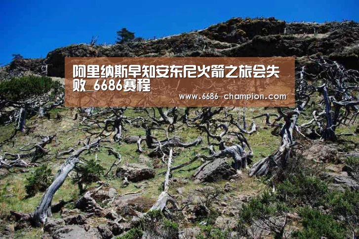 阿里纳斯早知安东尼火箭之旅会失败_6686赛程(图1) 6686下载