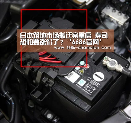 6686赛程