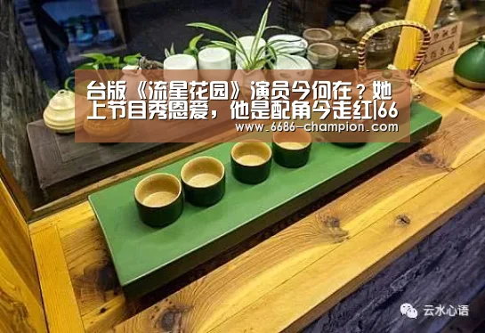 台版《流星花园》演员今何在?她上节目秀恩爱,他是配角今走红|6686导航(图2) 6686下载