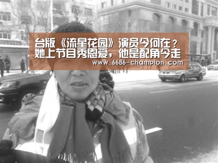 台版《流星花园》演员今何在?她上节目秀恩爱,他是配角今走红|6686导航(图3) 6686下载