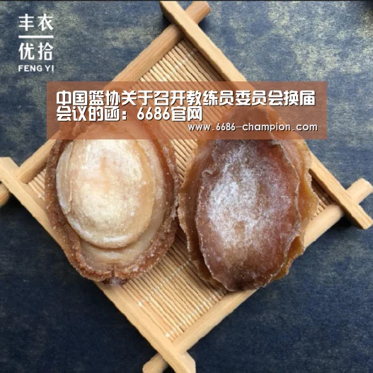 中国篮协关于召开教练员委员会换届会议的函:6686官网(图2) 6686官网