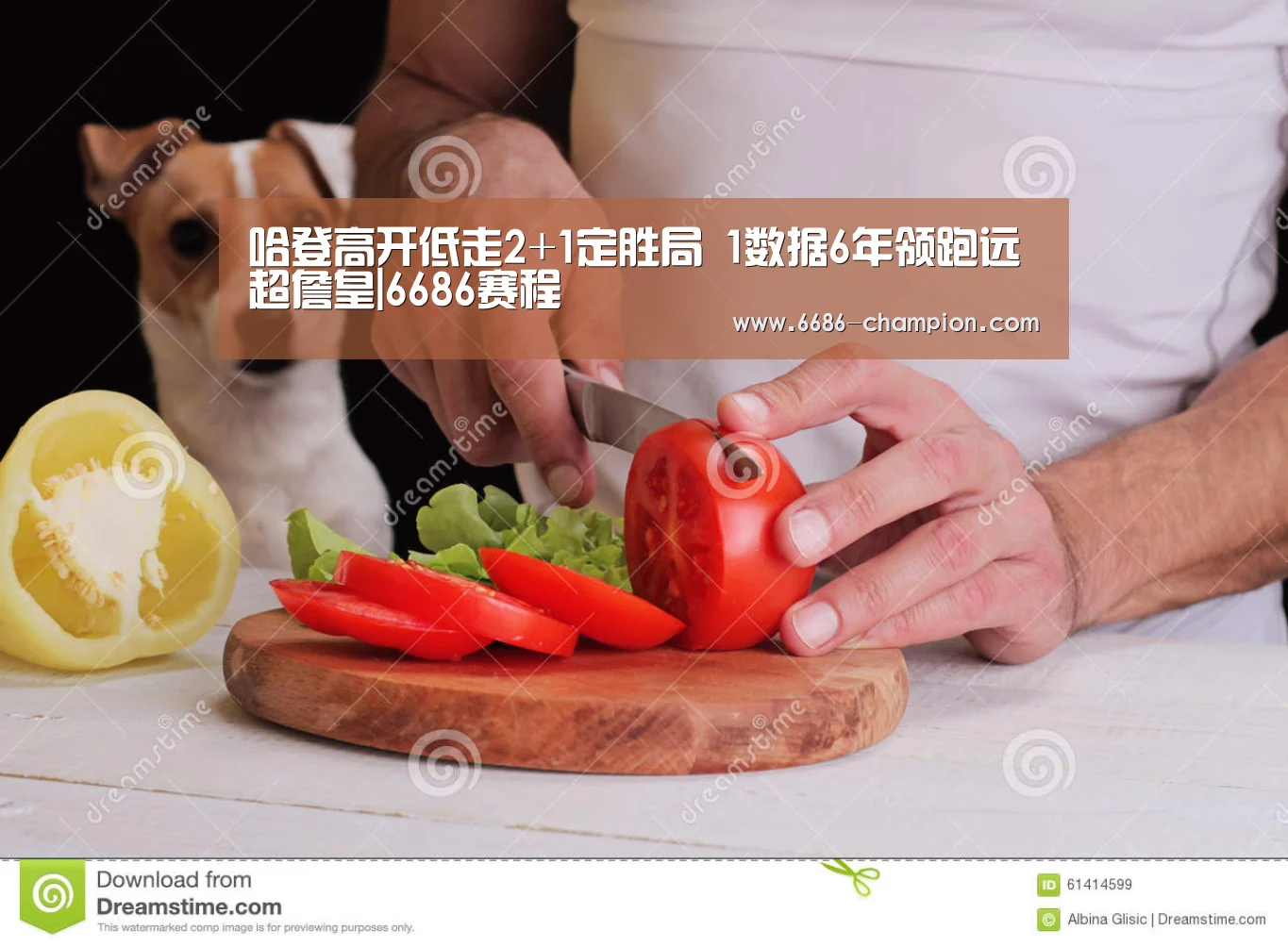 6686导航