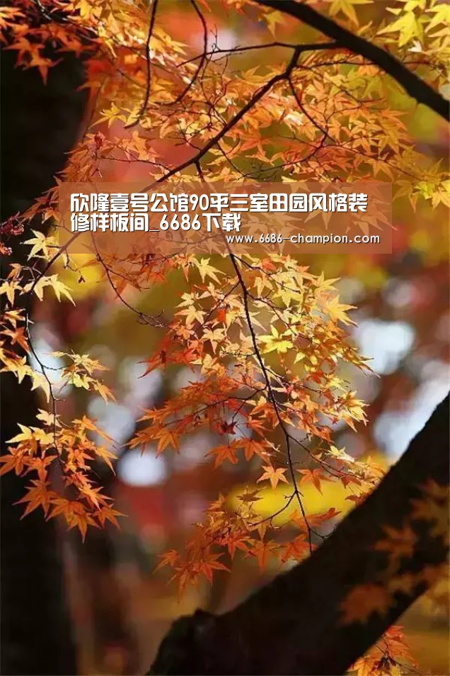 6686官网